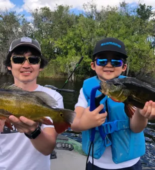 The Everglades Peacock Bass Fishing